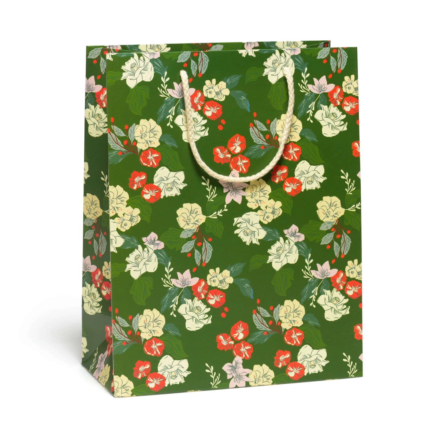 Large Printed Gift Bag