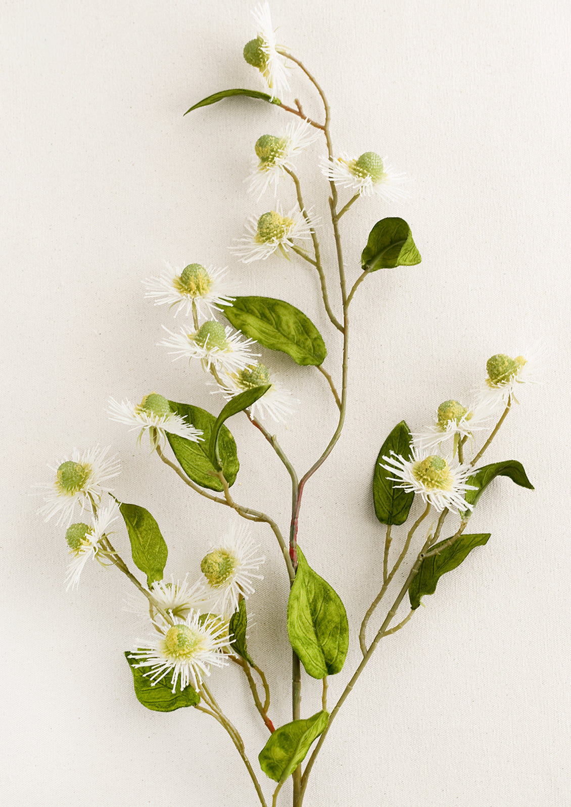 A faux flora spray of white buttonbush flower.