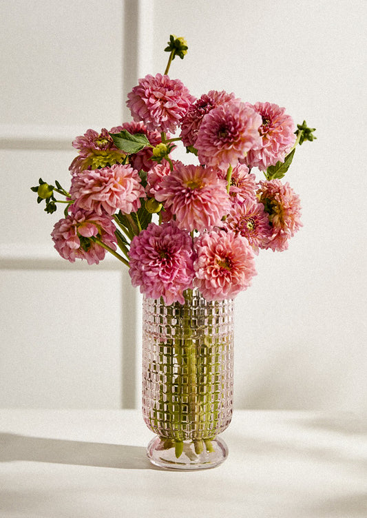 A glass vase in pale pink color with grid cube texture, holding pink dahlias.