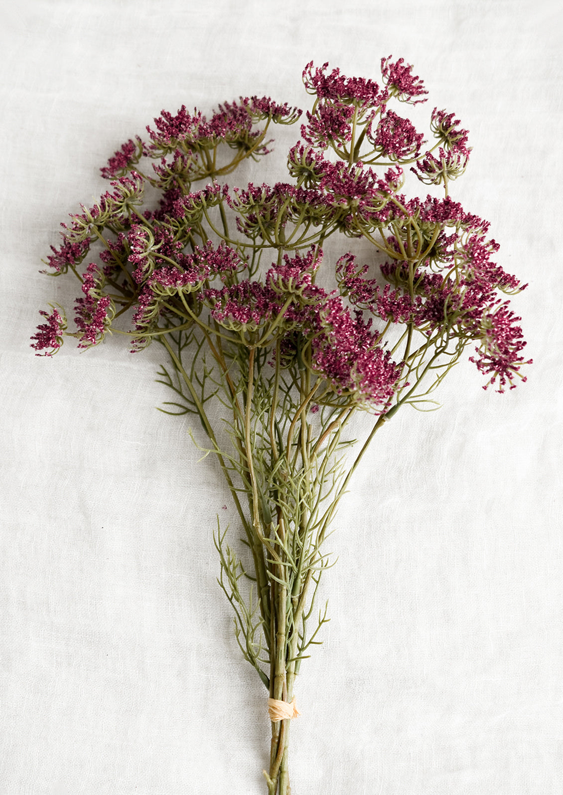 Faux Queen Anne's Lace Bundle – LEIF