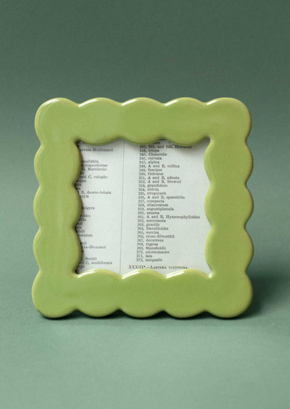 A square picture frame in wavy squiggle shape in meadow green ceramic.