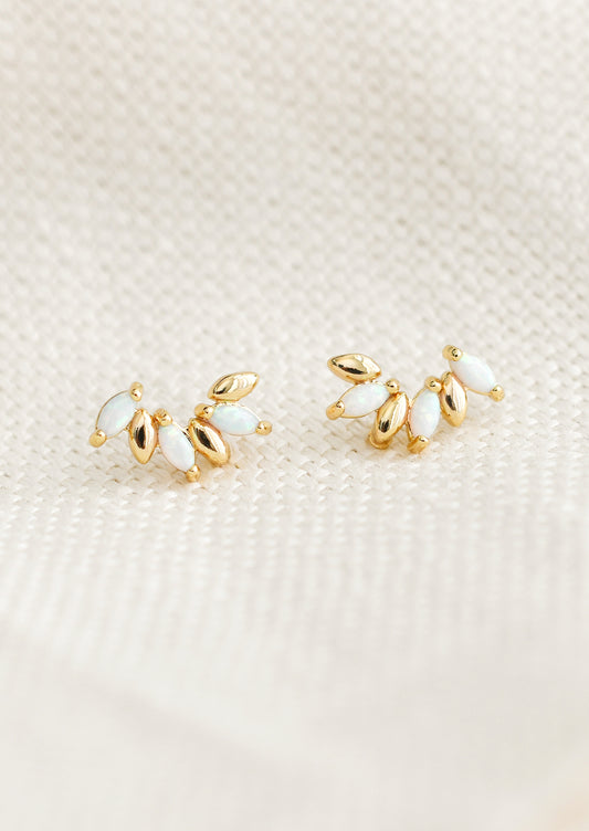 A pair of gold studs with seed like shape, with opal accents.