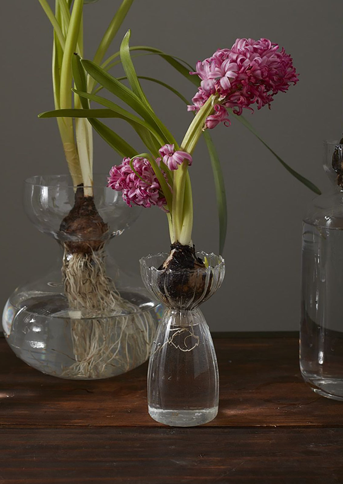 A glass vase with flowers on a table.