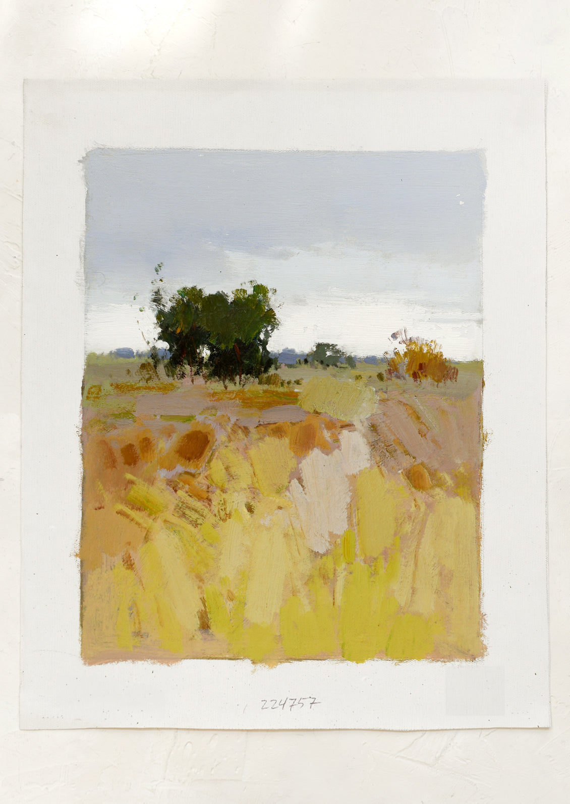 An original oil painting on unstretched canvas, picturing a field with trees and overcast sky.