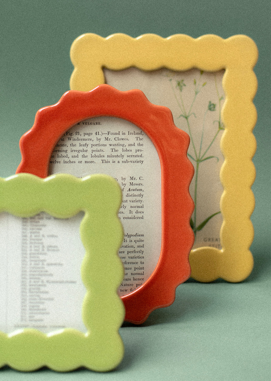 Wavy squiggle, scalloped shape ceramic picture frames in assorted colors.