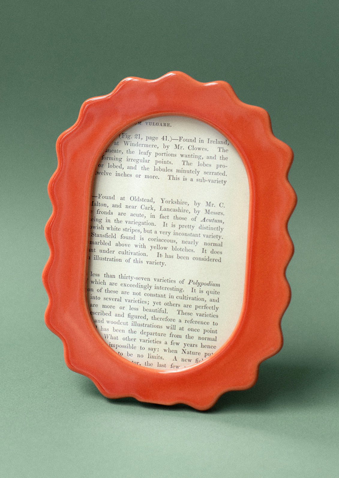 An oval shaped picture frame in wavy squiggle shape in tomato red ceramic.