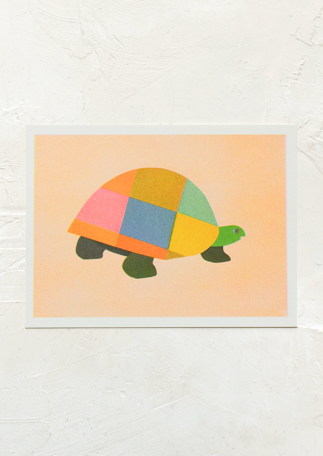 A risograph art print of multicolor turtle on peach background.