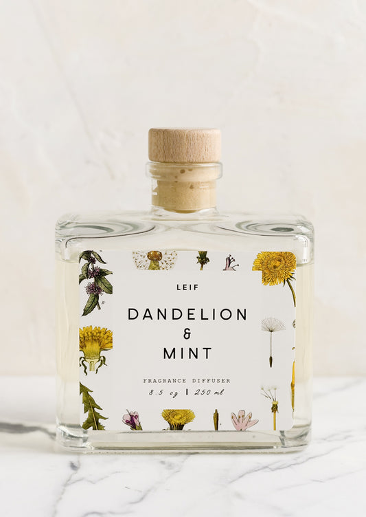 A dandelion and mint scented reed diffuser with glass bottle.