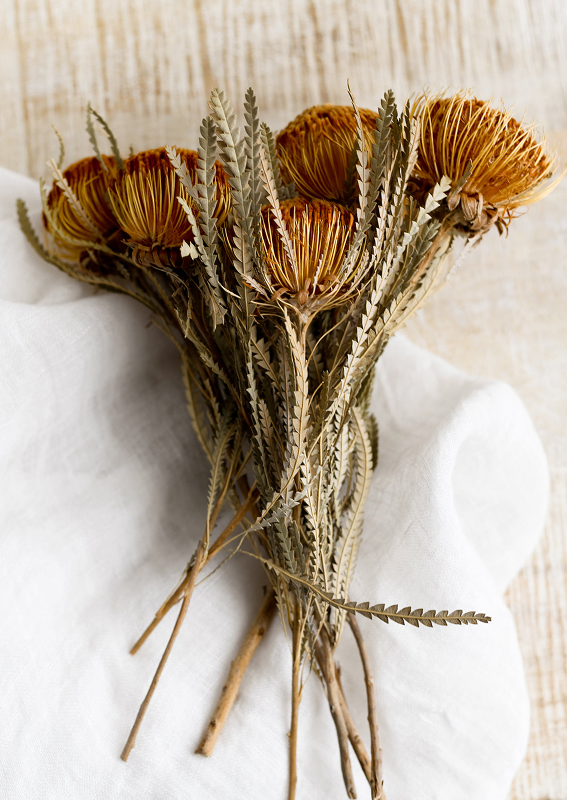 A bunch of dried mini protea stems.