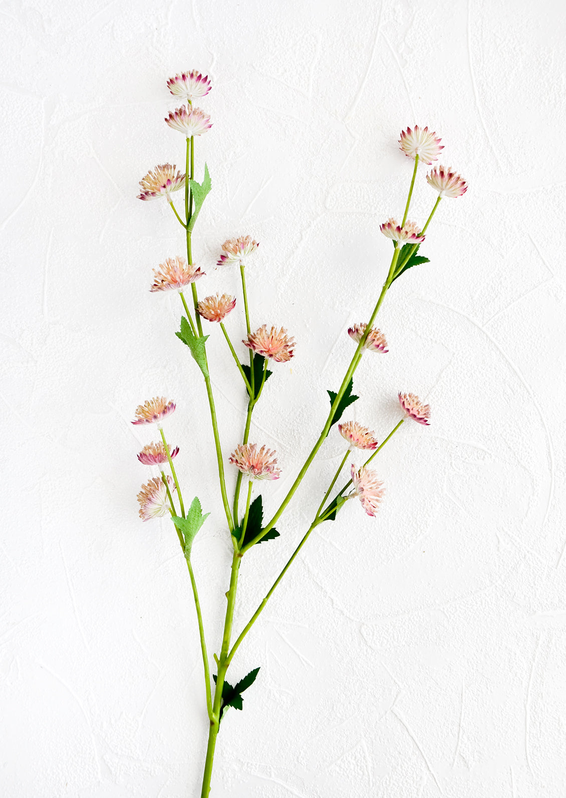 Realistic faux flower stem with pale pink astrantia flowers