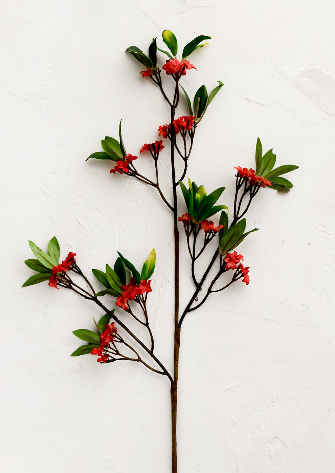 A faux indian jasmine floral spray with red flowers.