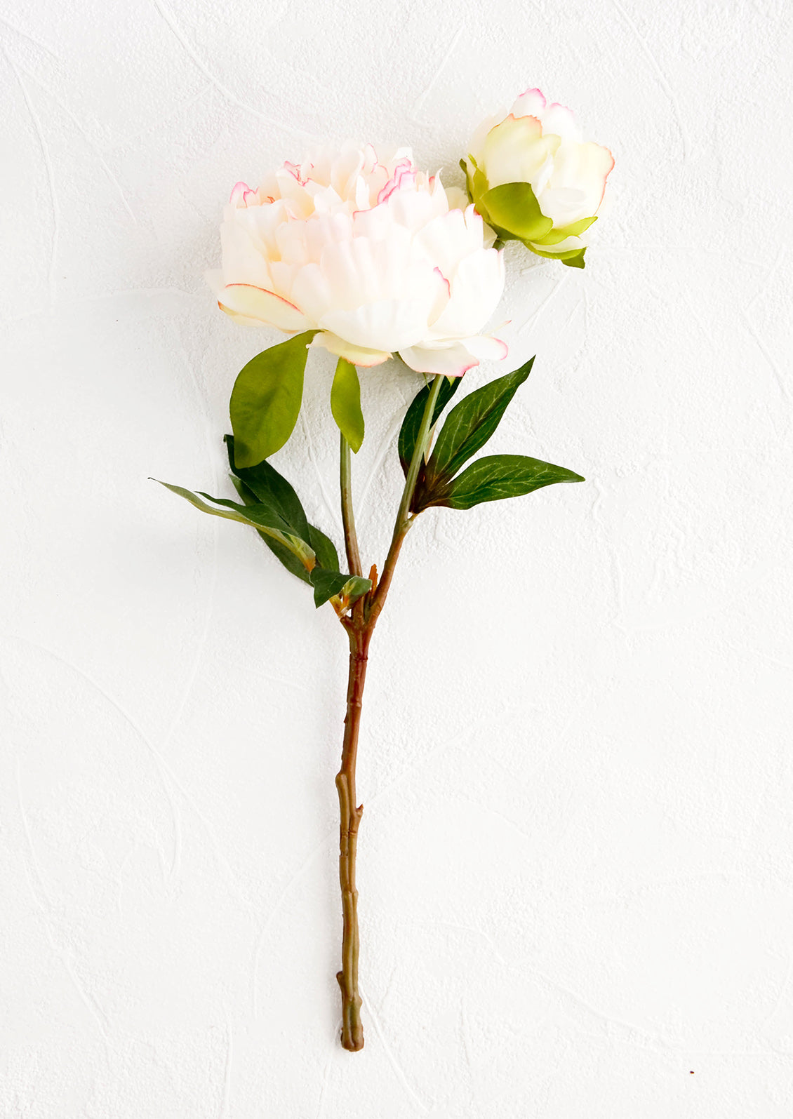 Realistic looking faux peony flower stem, large flower with smaller bud off shoot