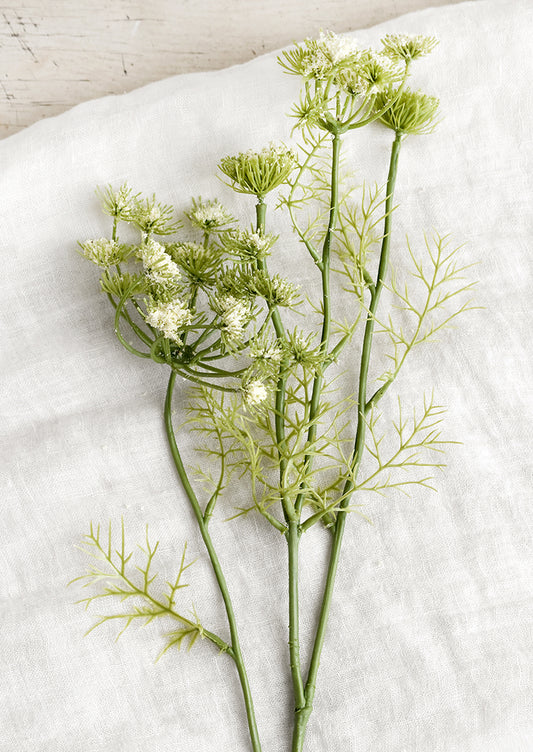 An artificial floral stem of white queen anne's lace.