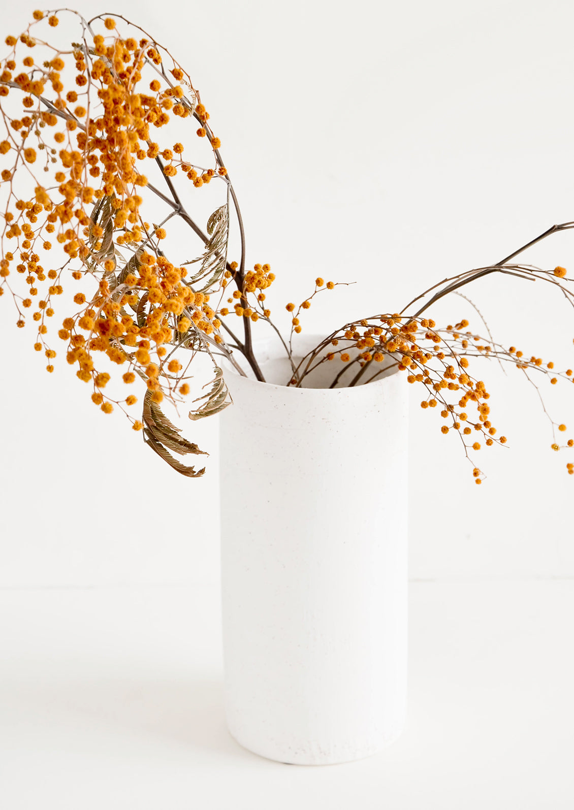 Tall and narrow cylindrical vase in white concrete material, displaying dried mimosa