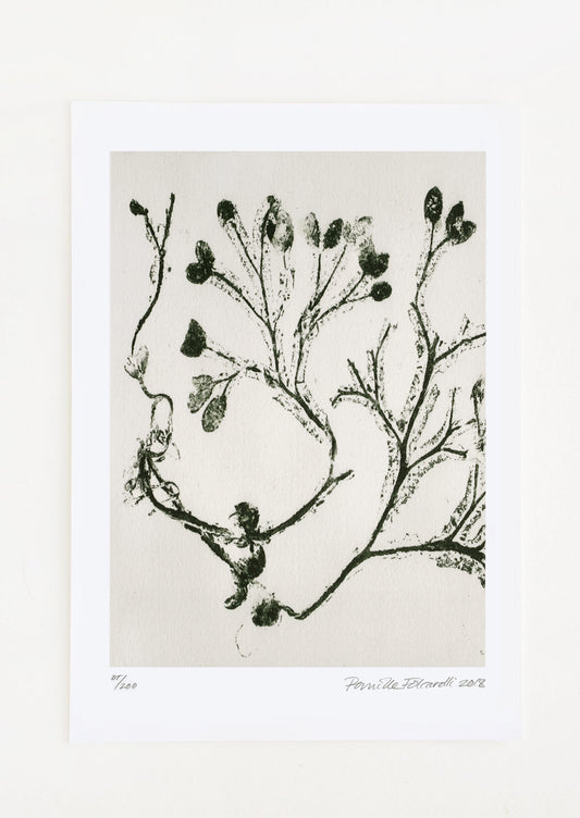 A botanical art print of seaweed in olive green.