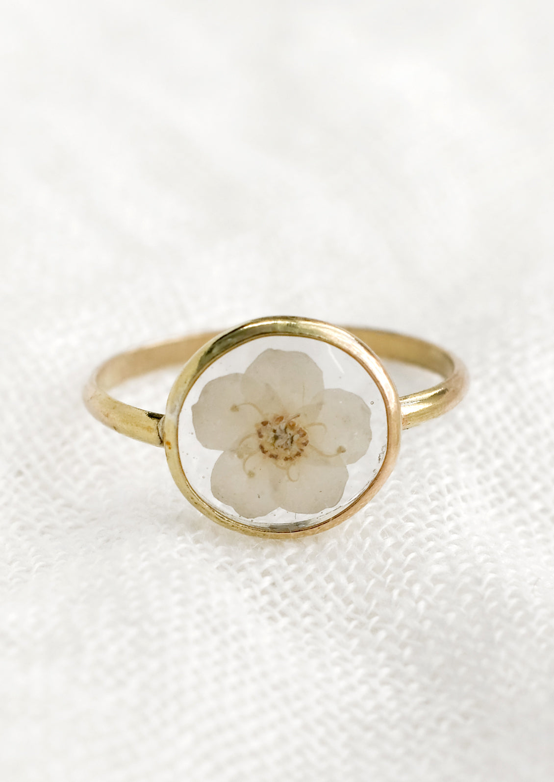 A gold round bezel ring showing white flower on clear background.