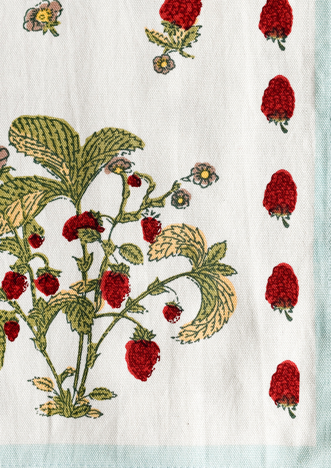 Raspberry printed cotton fabric with light aqua border.