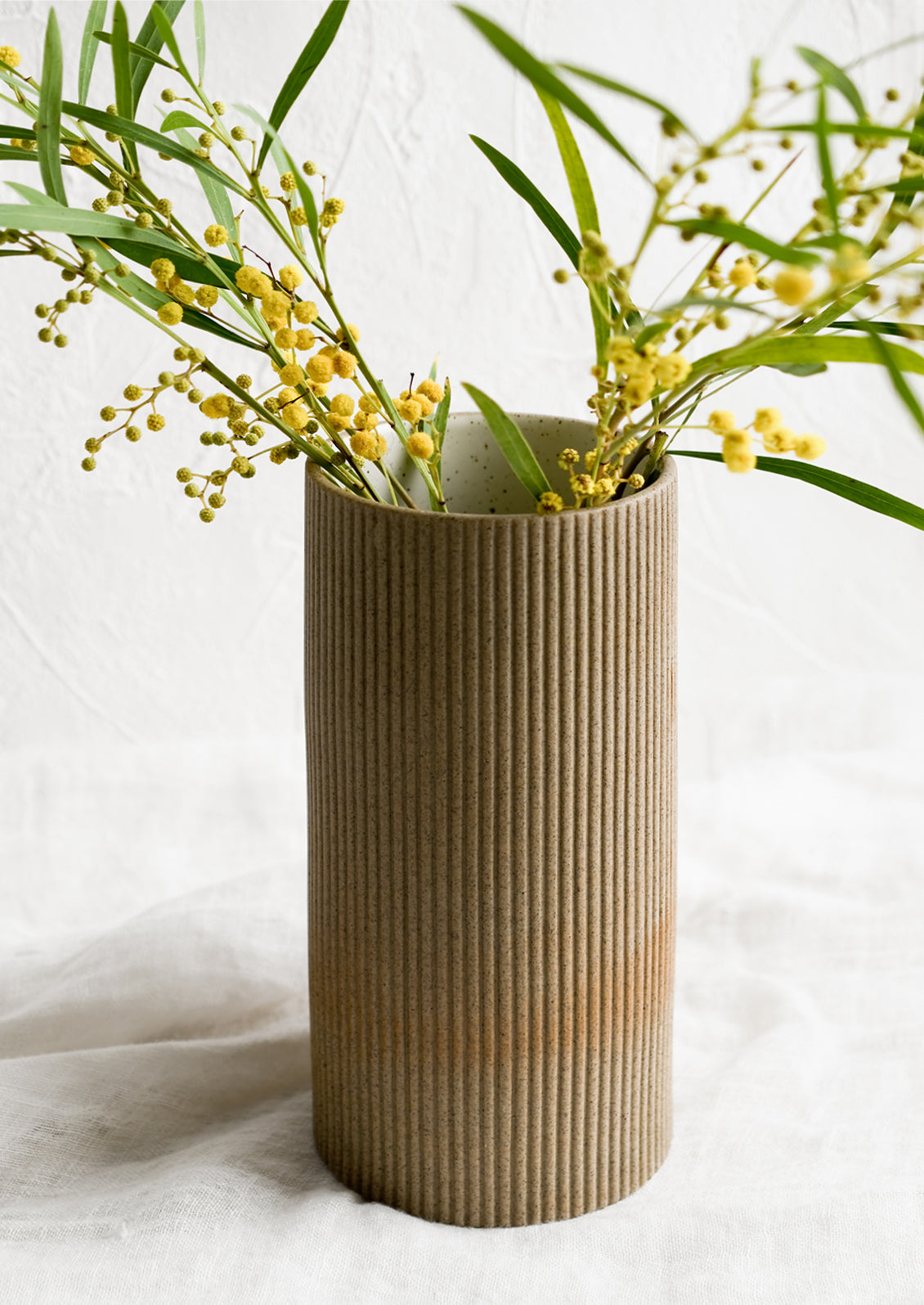 A sand brown cylindrical ceramic vase with mimosa flowers.