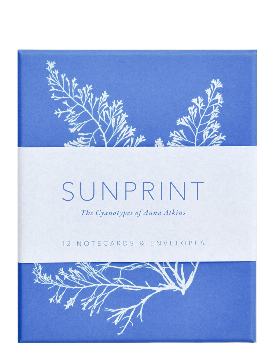 Sunprint Notecard Set in  - LEIF