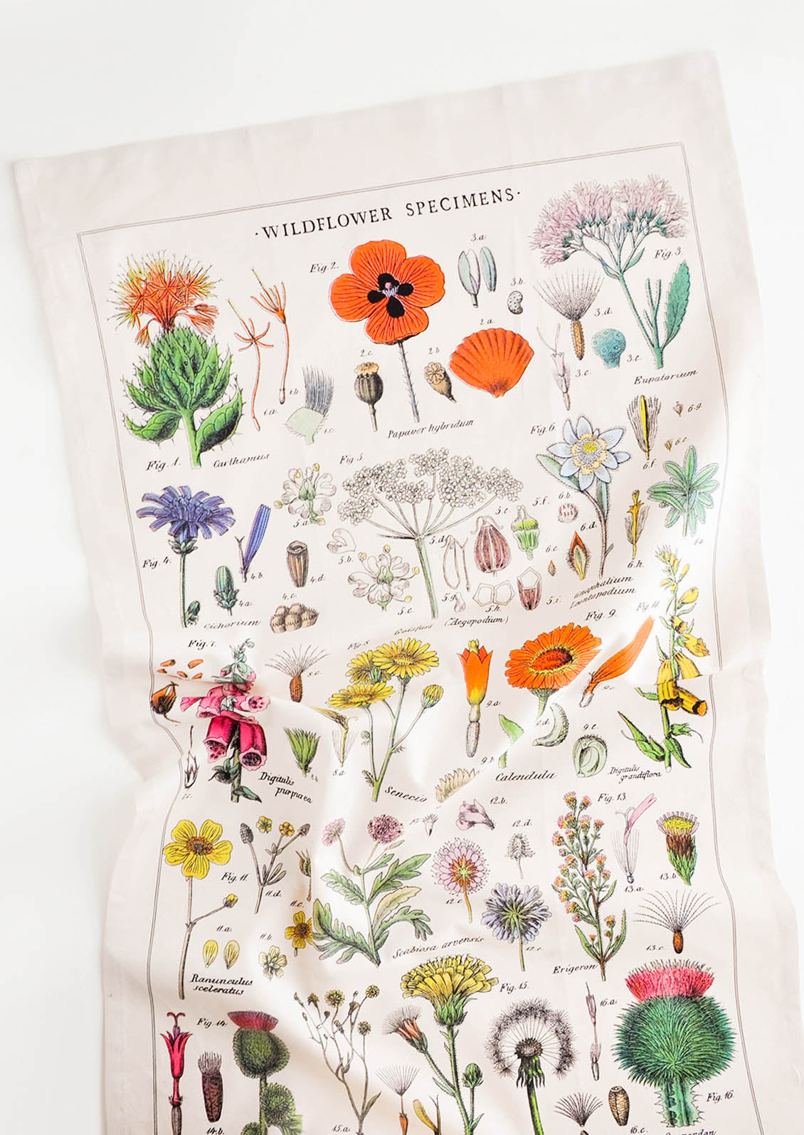 A cotton tea towel with botanical wildflower species printed in color.