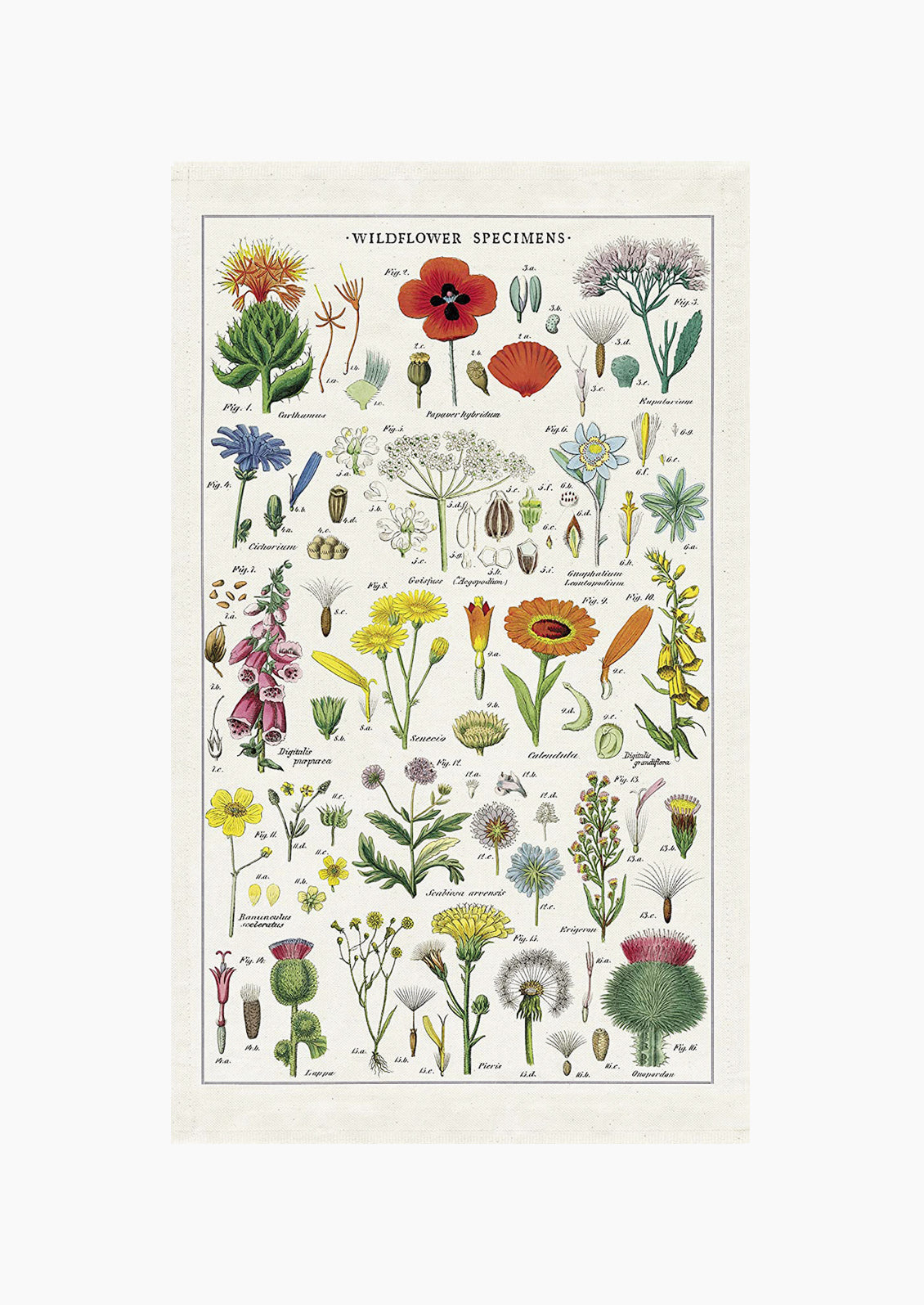 A cotton tea towel with botanical wildflower species printed in color.